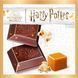 Шоколад Witor's Harry Potter Milk Chocolate Caramel Pop Corn 159 фото 2