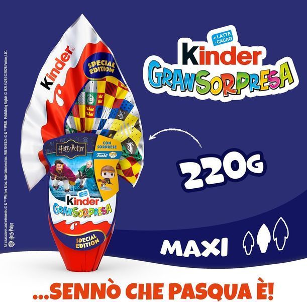 Kinder Gransorpresa MAXI Harry Potter 220 г 182 фото