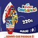 Kinder Gransorpresa MAXI Harry Potter 220 г 182 фото 2